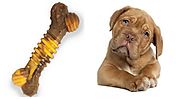 Can Dogs Eat Nylabones? The Simplest Guide to Know.