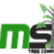 DMS Tree Removal – Medium