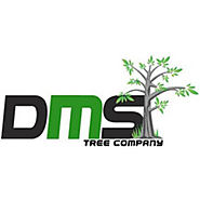 Ratings profile of DMS Tree Removal | ProvenExpert.com