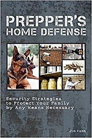 Prepper's Home Defense: Security Strategies to Protect Your Family by Any Means Necessary Paperback – December 18, 2012