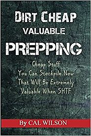 Dirt Cheap Valuable Prepping: Cheap Stuff You Can Stockpile NowThat Will Be Extremely Valuable When SHTF Paperback – ...