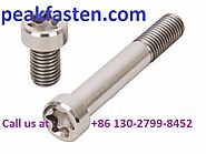 ShenZhen Peak Fasten specialties Titanium Bolt