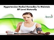 Hypertension Herbal Remedies to Maintain BP Level Naturally