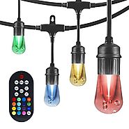 Enbrighten Vintage Seasons LED Warm White and Color Changing Café String Lights (48ft.), Wireless, 24 Lifetime Bulbs,...