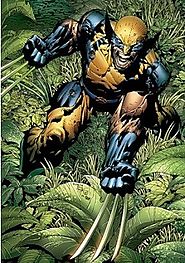 Wolverine (character)