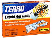 Top 10 Best Ant Killers 2017 – Buyer’s Guides (October. 2017)