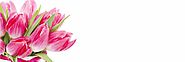 Melbourne Flowers Delivery Service , Your Best Online Florist