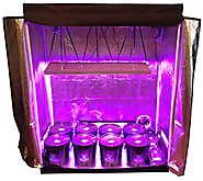 8 Site Hydroponic System Grow Room - Complete Grow Tent