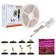 LED grow light, Nexlux Plant Grow Light Kit,16.4ft/5m 5050 Waterproof Full Spectrum Red Blue 4:1 Growing Lamp Aquariu...