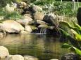 Water Features - Garden Water Features, Pond & Fountain Design Ideas