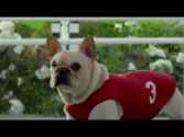 SKECHERS - GO RUN Mr. Quiggly! Big Game Commercial 2012