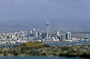 How Do New Zealand Power Prices Compare With The Rest of the World?