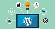 Need of Wordpress Speed Optimization Service | NRS Infoways LLC