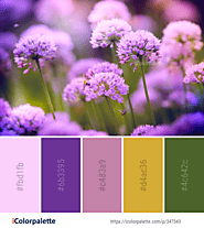 Create, Inspire and Share awesome color schemes | iColorpalette