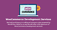 WooCommerce Theme Development