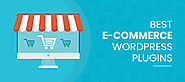 How WooCommerce can Empower your E-Store?