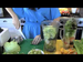 Make the Best Green Smoothies - Archives November 2013
