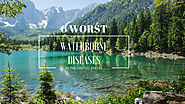6 Worst Waterborne Diseases in the United States |