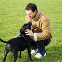Online Course: Dog Training 101 - CEU Certificate