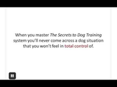 Dog Training Guide - Best Online Dog Training Available
