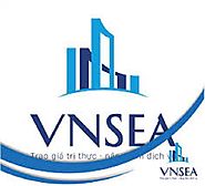 Vì sao nên chọn Vnsea là nơi khởi nghiệp nghề sales bất động sản?
