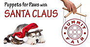 Puppets for Paws with Santa Claus at Summit Fair - 12/7/17
