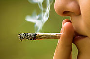 Study finds marijuana use is associated with dating violence