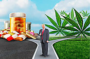 Why is Trump administration ignoring the role of medical marijuana in the midst of an opioid crisis? - Online Medical...