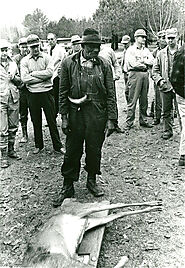 History of Alabama Hunting Lodge | Westervelt Lodge
