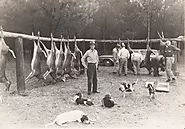 Deer Hunting Lodge In Alabama Locavore
