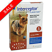 Interceptor for Dogs: Interceptor Heartworm Medicine for Dogs