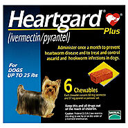 Heartgard Plus for Dogs | Free Shipping - BudgetPetWorld