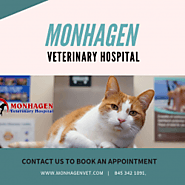 #1 Animal Hospital Middletown | Monhagen | Visual.ly