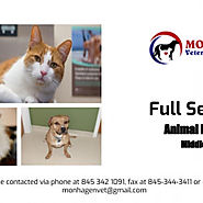 Top Rated Animal Hospital In Middletown | Visual.ly
