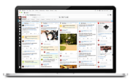 Hootsuite to streamline your social media