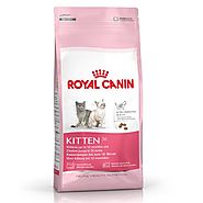 Website at https://petclubindia.com/product/royal-canin-kitten-cat-food/