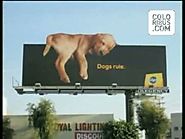 Pedigree creates happiness by standing up for the love of dogs