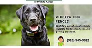 Best Dog Fences Wichita