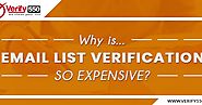 Why is email list verification so expensive?