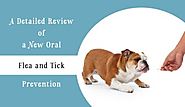 Simparica – A Detailed Review Of A New Oral Flea and Tick Prevention | BudgetPetWorld