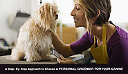 A Step- By- Step Approach to Choose A Personal Groomer For Your Canine – BudgetPetWorld