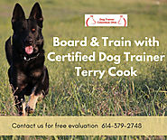 Board & Train your Dog with Certified Trainer