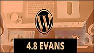 Discover The Amazing New Features Of WordPress 4.8 “Evans” | Blog