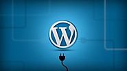 Why You Should Opt for WordPress Plugin Development to Reinvent Your Website | MacuhoWeb