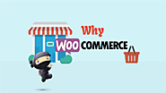 Why WooCommerce is Good For E-Commerce Business | Blog