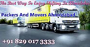 Mandatory Tips To Move The Country Over With Your Pet: Packers And Movers Ahmedabad | Packers and Movers in Ahmedabad