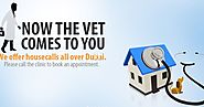 How to choose the best veterinary clinic for your pet??