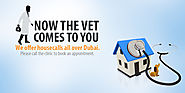 Contact the Best Animal Hospital to Care Your Pet