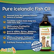 How Wild Caught Omega 3 Fish Oil is Best for your Dog Or Cat