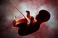 Amazing Things Babies Learn In the Womb - Things Unborn Baby Learns